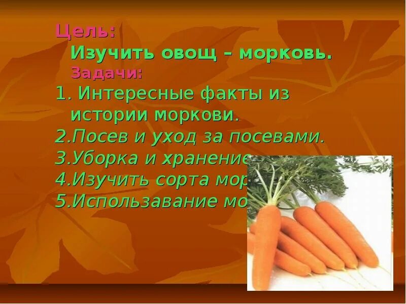 Почему использовать морковь. Доклад про морковь. интересные факты о моркови. интересные факты о морковке. презентация на тему морковь.