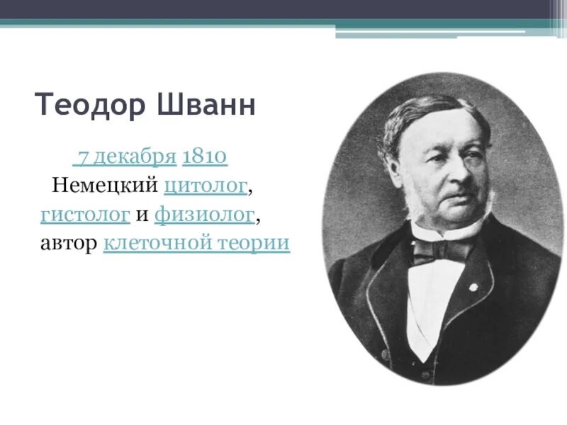 Немецкий физиолог. Шванн вклад в медицину.