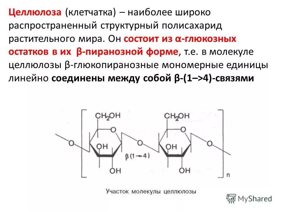 3 функции клетчатки