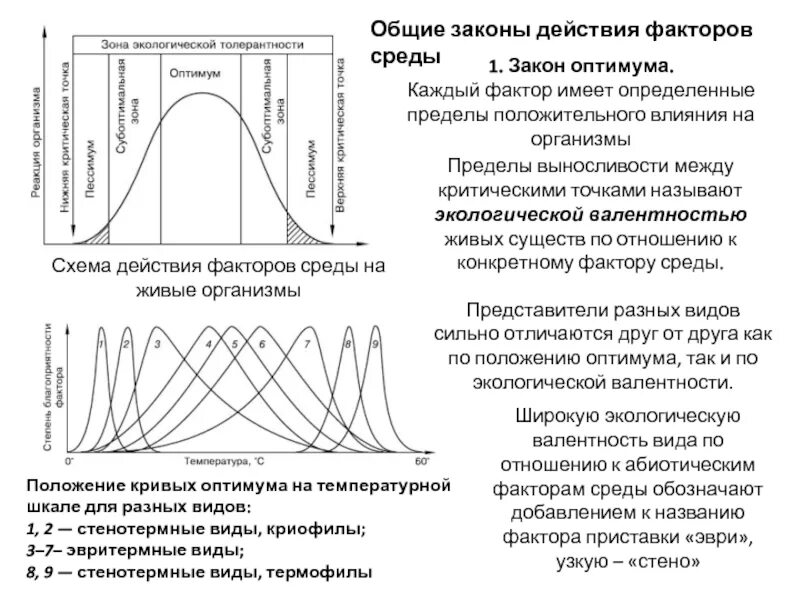 Изменение функции в зависимости от изменения. Схема действия фактора среды на организмы. Положение кривых оптимума на температурной шкале для разных видов. Схему действия факторов. Действие факторов среды на живые организмы.