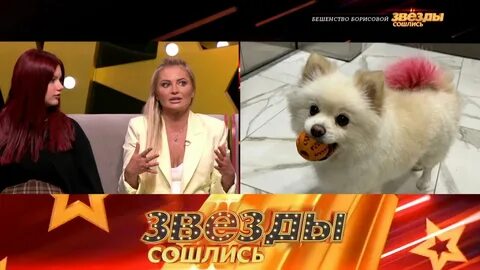 Звезды 9 выпуск 2024