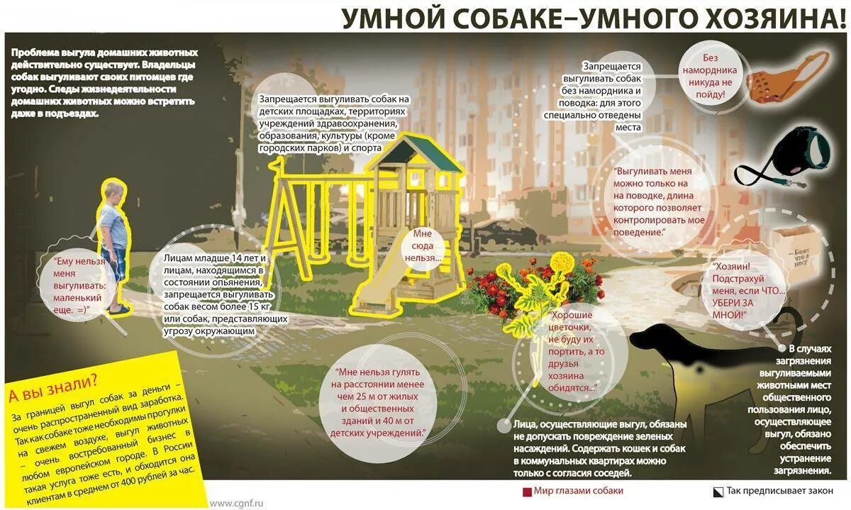 Выгул собак в общественных местах. Правила выгула домашних животных. Места для выгула домашних животных. Правила выгула собак в городе. Памятка выгул собак.