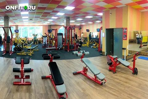Дельфин королев болшевское