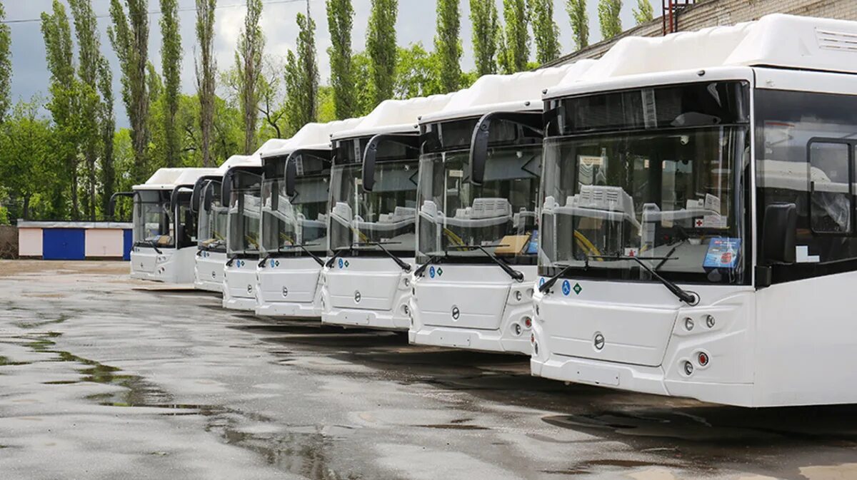В Воронеже на новом автобусном маршруте № 44 пока не работает скидка в 7 рублей 