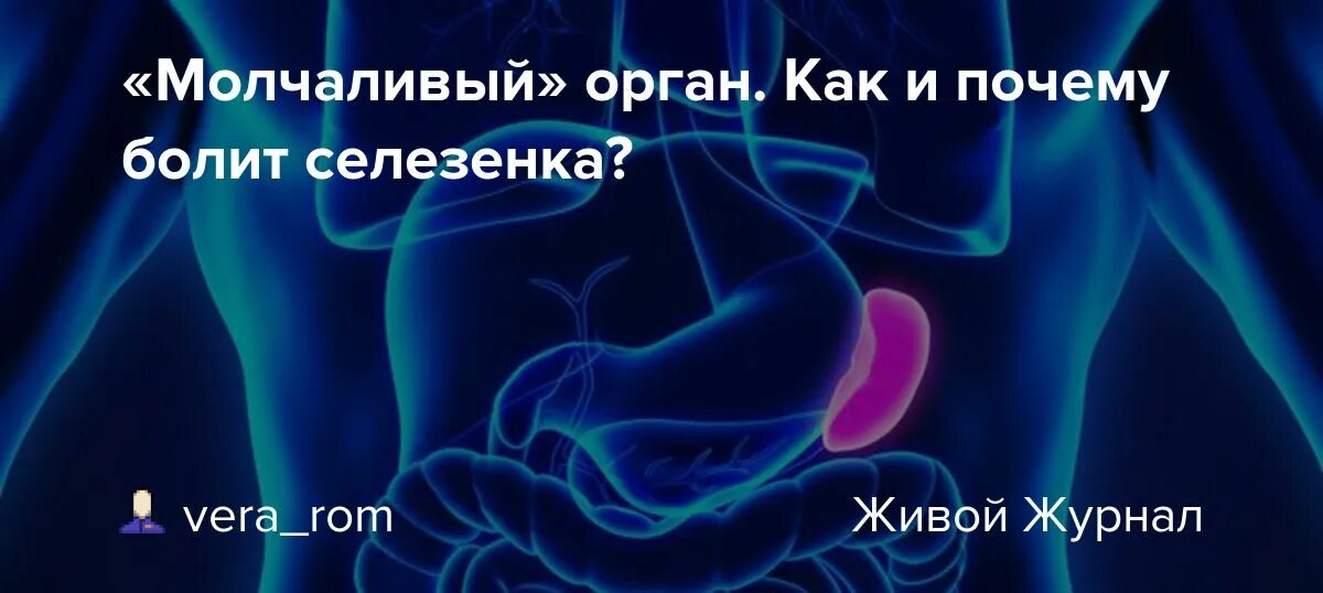 Селезенка человека болит. Где находится селезенка у человека. Зачем человеку селезенка в организме.