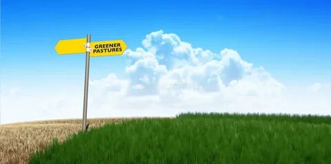 Grass greener on the other side