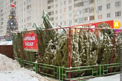 Ограждение для елки