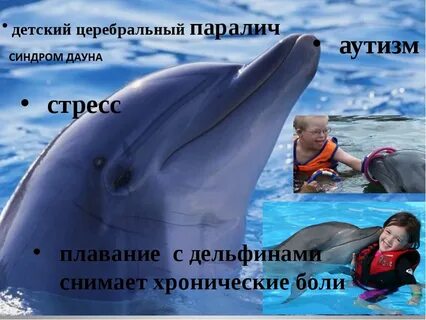 Как дельфины мы уходим в плавание
