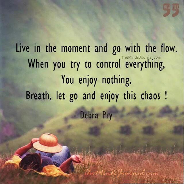 Go with the flow. Flow go. Gone with the Flow. Go with the Flow idiom. Go with the Flow Live.