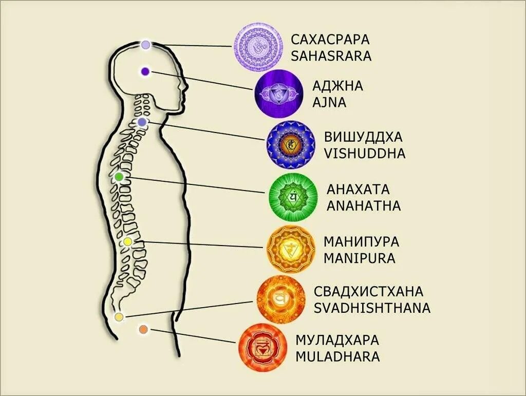 Манипура Аджна. Манипура чакра Аджна. Чакры человека Свадхистана. Чакры на позвоночнике. Чакры названия и расположение