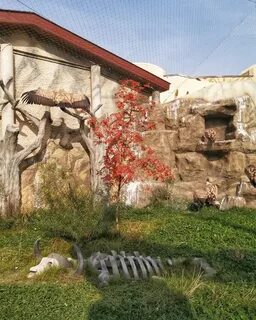 Зоопарк старый адрес