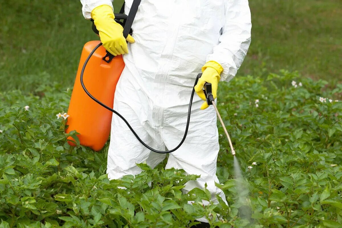 Работа с пестицидами и агрохимикатами