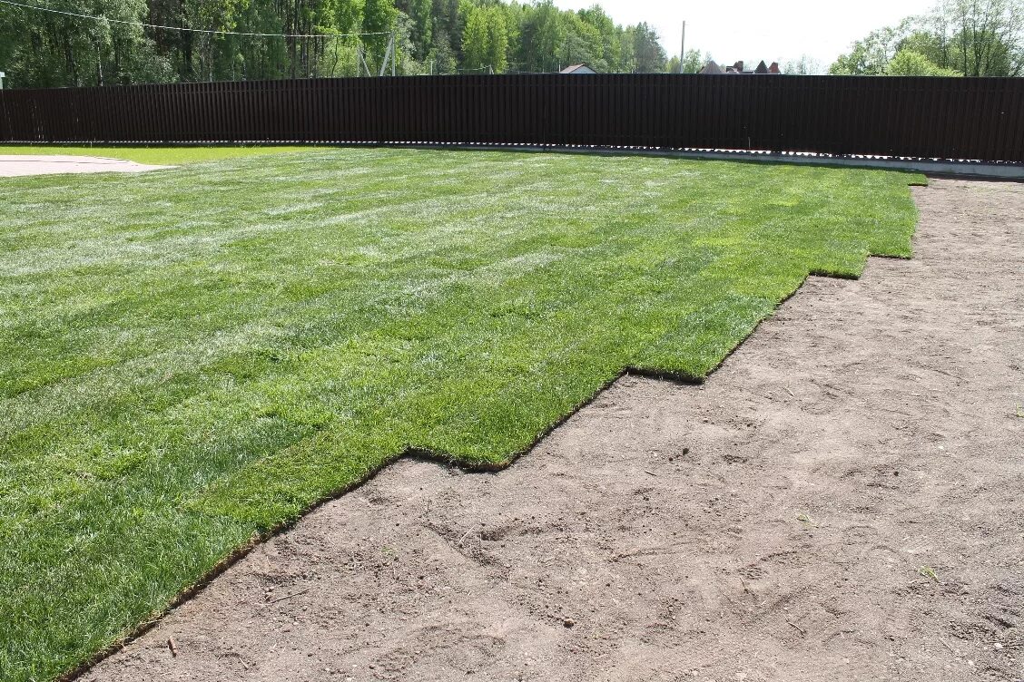 рулонный газон. газон ключ рулонный. укладка газона. рулонный газон хардтоп. рулонный газон на участке.