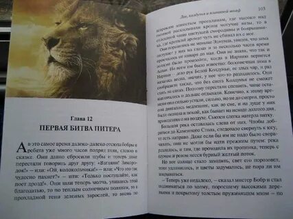 Книга колдунья шкаф и лев