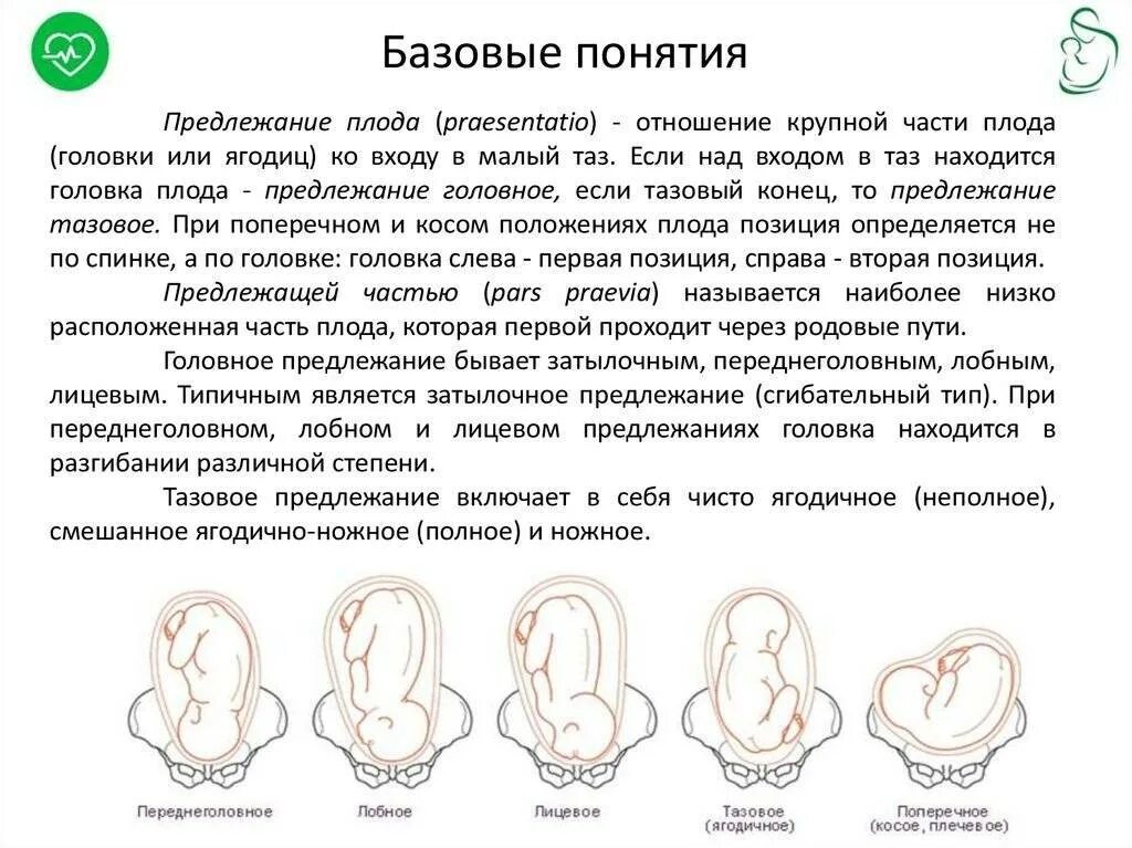 Ребенок расположен справа. Позиции плода при тазовом предлежании. 32 Неделя беременности головное предлежание. Положение плода продольное предлежание головное. Продольное положение плода положение плода головное.