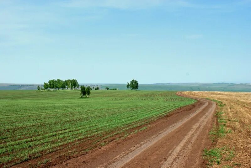 Золотые пески нукуты. Золотые пески нукуты. Погода мельхитуй иркутская область. Золотые пески иркутская область осинский. Мельхитуй золотые пески.