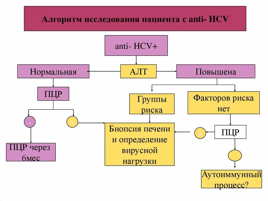 Парентеральные инфекции алгоритм. Пути передачи ВИЧ инфекции парентеральных гепатитов. Группы риска парентеральных инфекций. Классификация ВИЧ инфекции и вирусных гепатитов.