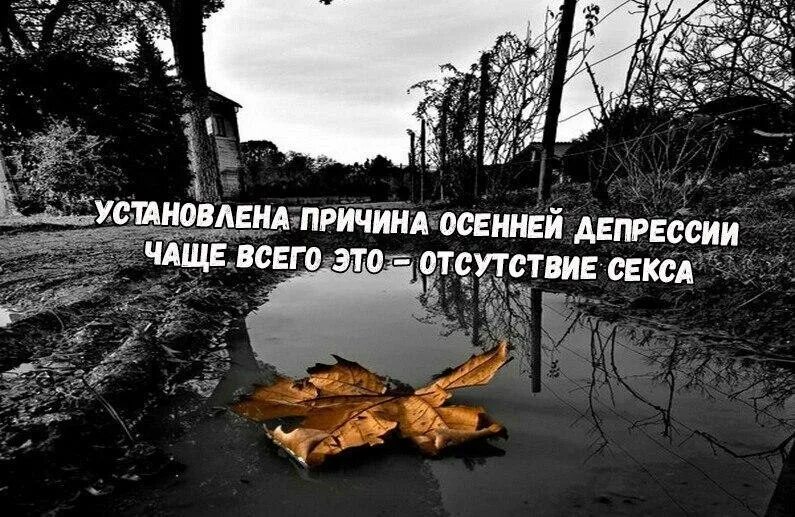 Накрыла депрессия. Осенняя депрессия приколы. Мемы про осеннюю депрессию. Осенняя депрессия картинки. Осенняя депрессия приколы картинки.