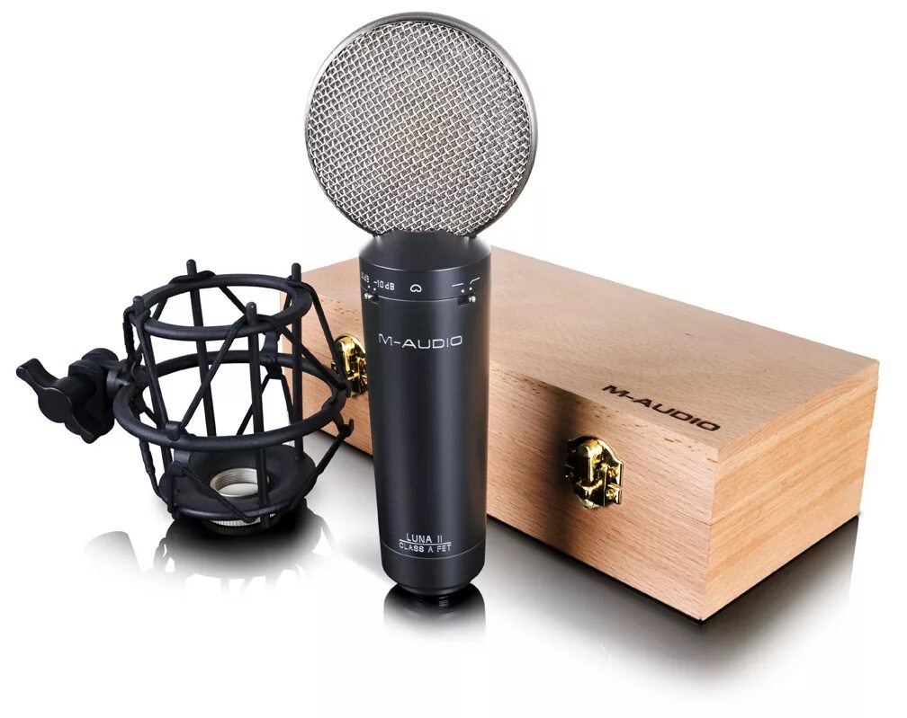Сферум микрофон. M audio микрофон студийный. m audio luna. микрофон luna. микрофон 200 ом.