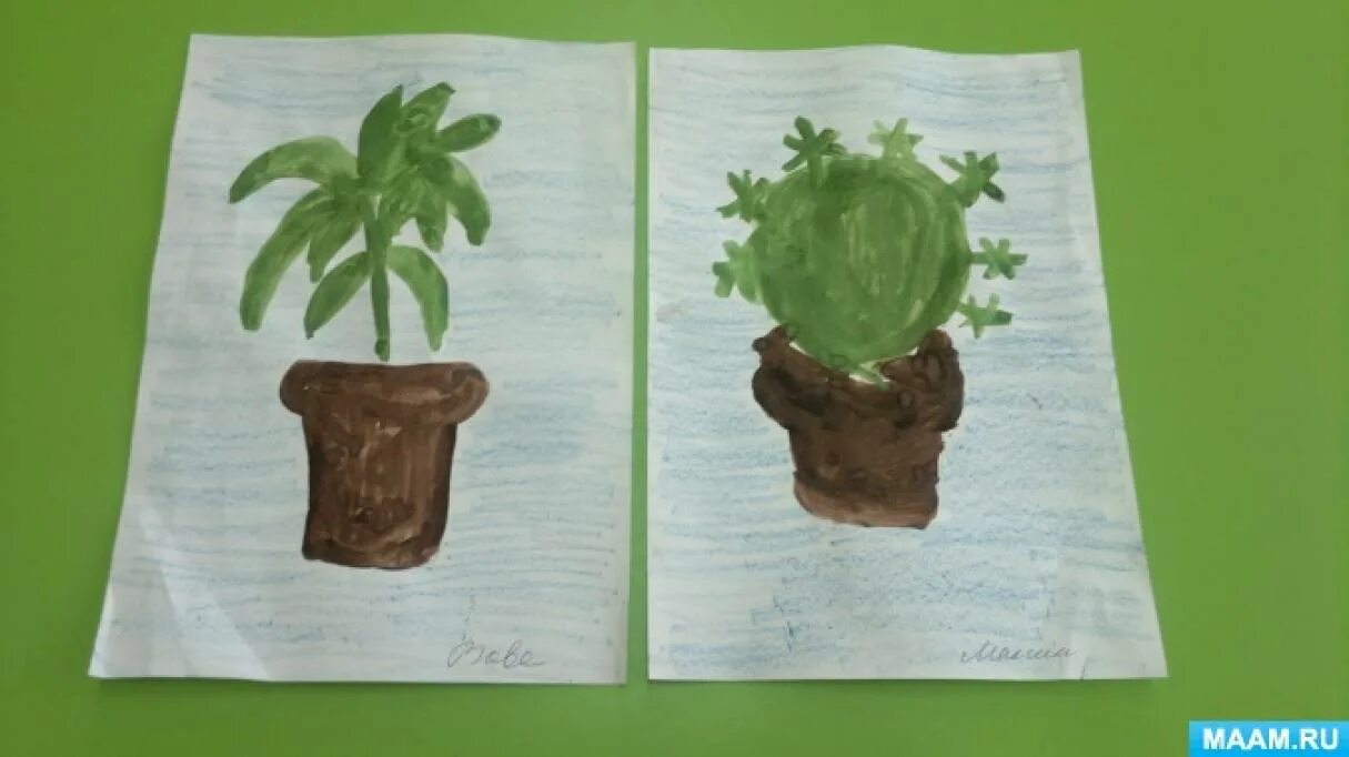 Конспект занятия в средней группе комнатные растения. Рисование комнатные растения младшая группа. Рисование комнатные растения старшая группа. Рисование комнатные растения средняя группа. Рисование комнатные растения подготовительная группа.