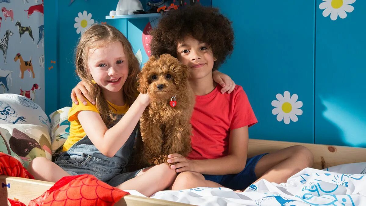 Waffle the wonder dog. Пес вафлик. Вафлик говорящий пес. Пес вафлик. Пес 1 11.