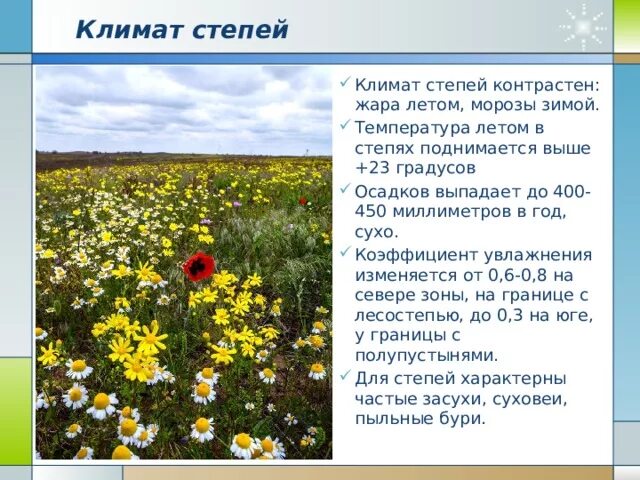 Зона степей климат. Климат степи в России. Климат зоны степей в России. Климатические условия зоны степей.
