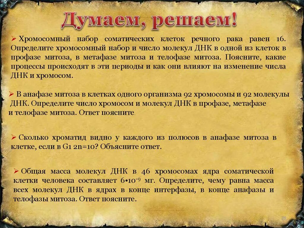 Объяснить насколько. Соматическая клетка набор хромосом и ДНК. Метафаза набор хромосом и ДНК. Набор хромосом число молекул ДНК на метафазе. Митоз метафаза набор хромосом и число молекул.