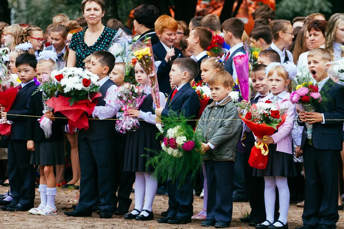 Лицей 10 Псков. Лицей 19 Псков. Лицей 4 Псков. Школа 2 Псков.