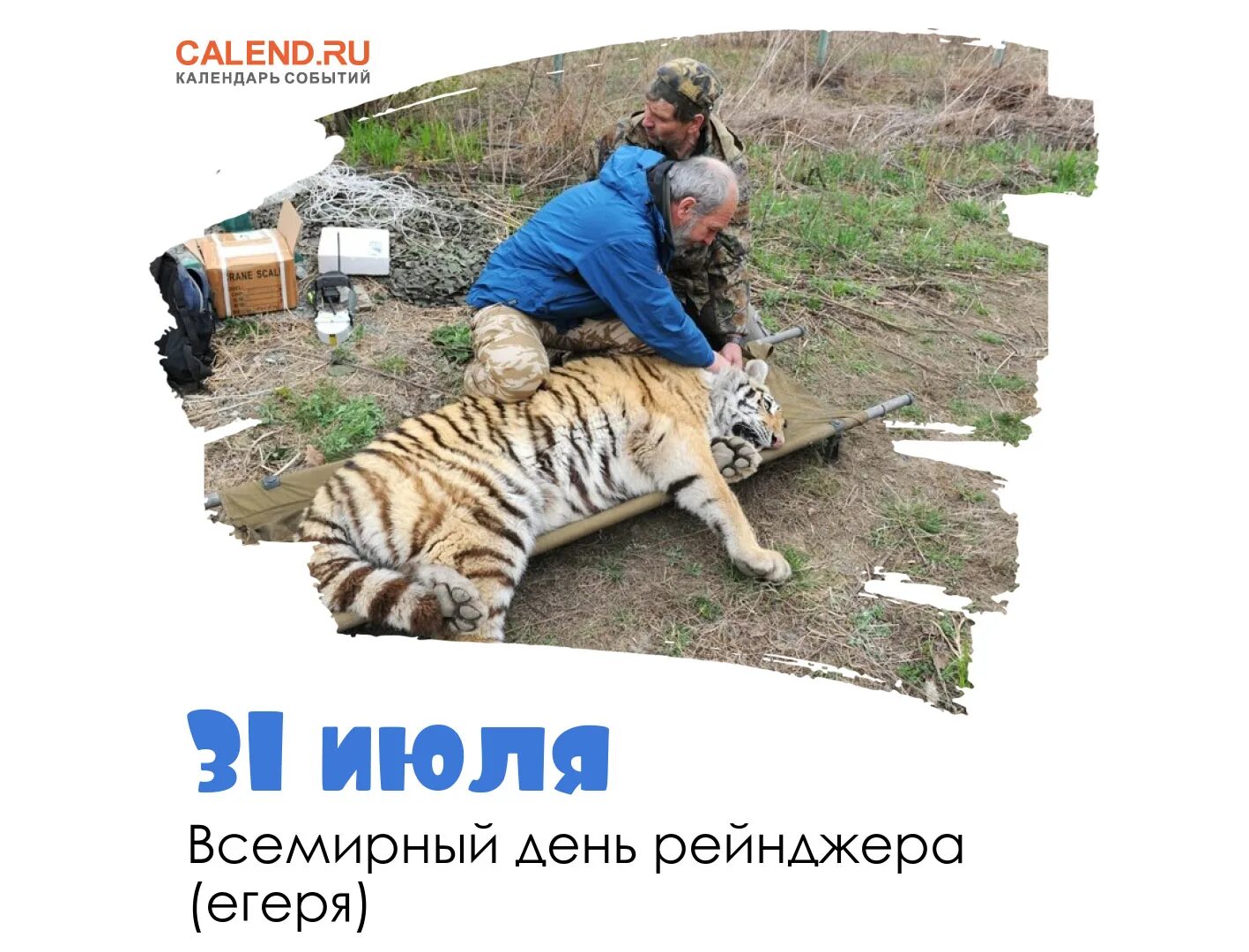 Всемирный день рейнджера 31 июля картинки. Всемирный день рейнджера. День рейнджера 31 июля. Всемирный день рейнджера (world ranger day). Всемирный день рейнджера.