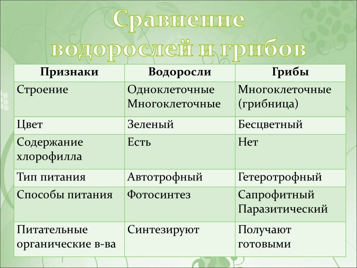 Сравнительная таблица грибы и лишайники. Сходства и различия грибов и лишайников таблица. Сравнение грибов и лишайников таблица. Сравнительная таблица водорослей.