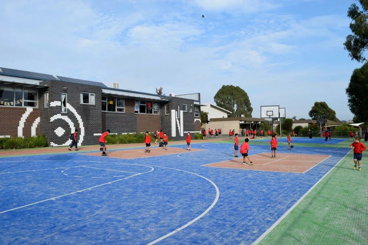 Facilities in American Schools спортивные бассейн. Sports facilities примеры. School Sport facilities. School facilities примеры. Sports facilities at school