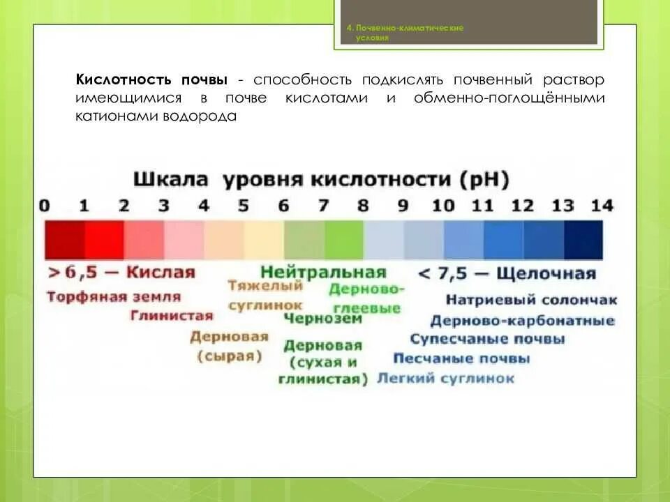 Определенный уровень кислотности в