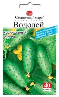 Сорт огурцов водолей