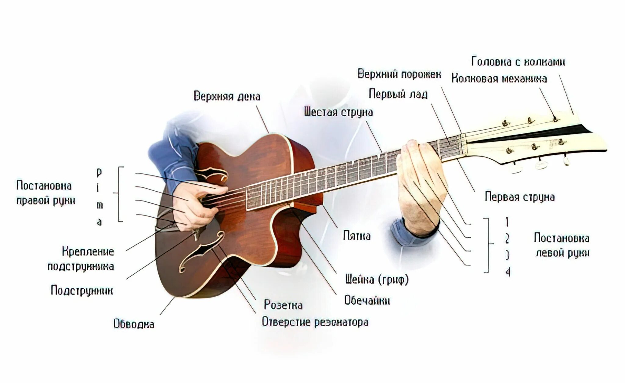 Гитара 6 струнная уроки начинающим. Гитара для начинающих. Как научиться играть на гитаре. Уроки гитары для начинающих. Первый урок на гитаре.