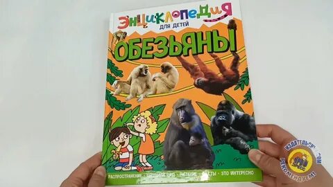 Энциклопедия об обезьянах 3 класс