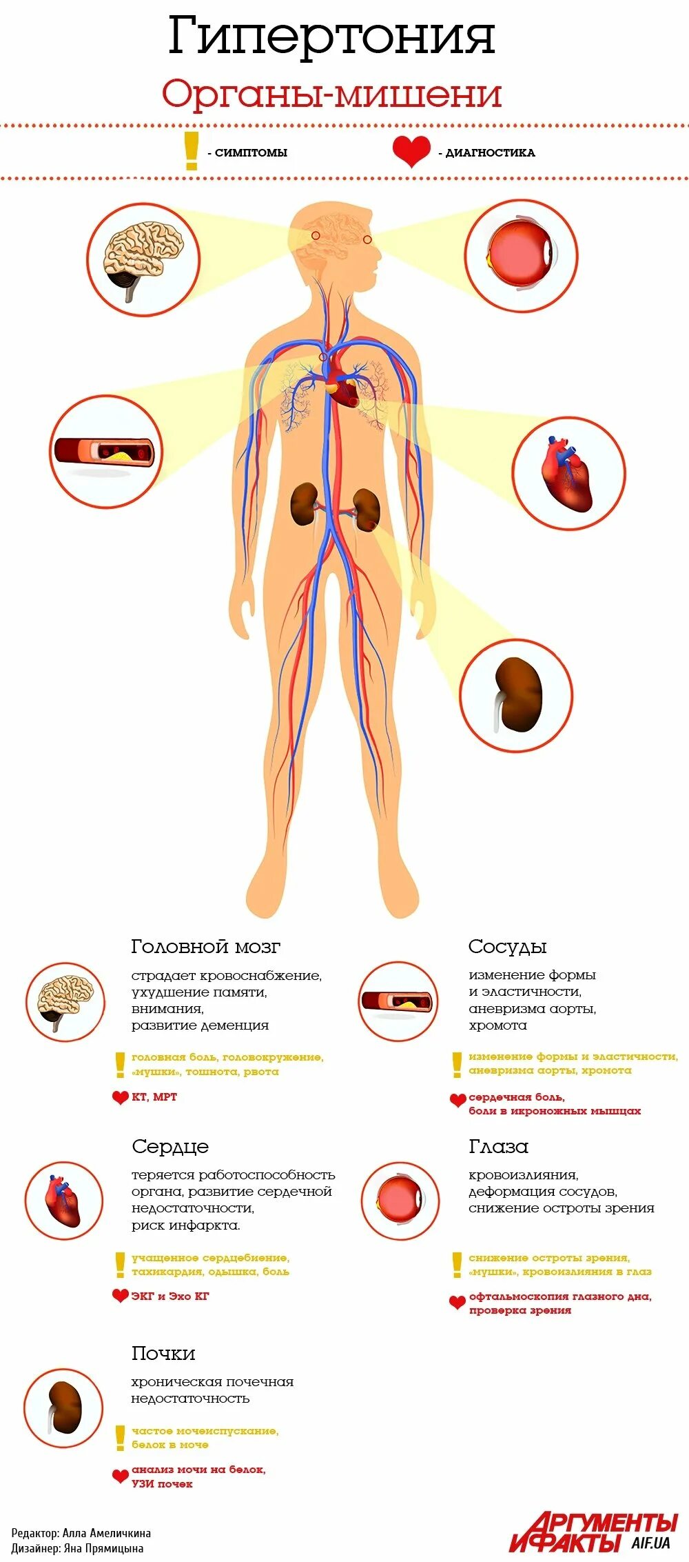 Гипертоническая болезнь органы мишени. Органы мишени при гипертонической болезни. Симптомы поражения органов мишеней при артериальной гипертензии. Гипертоническая болезнь поражение органов мишеней. Органы мишени при артериальной
