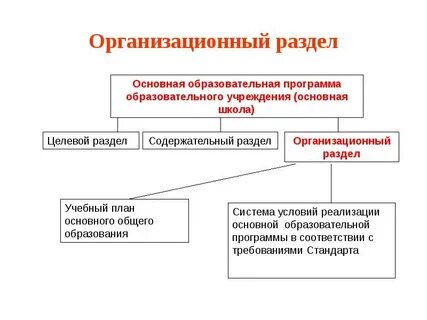 Основные разделы воспитательной программы