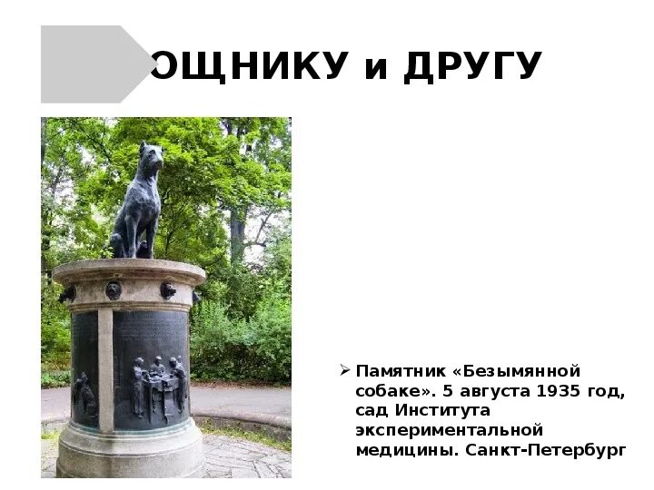 Памятник собаке изложение. Памятник сенбернару в калининграде. Памятник собаке изложение. Туркменистан памятник собаке. Памятник собаке в париже сенбернару.