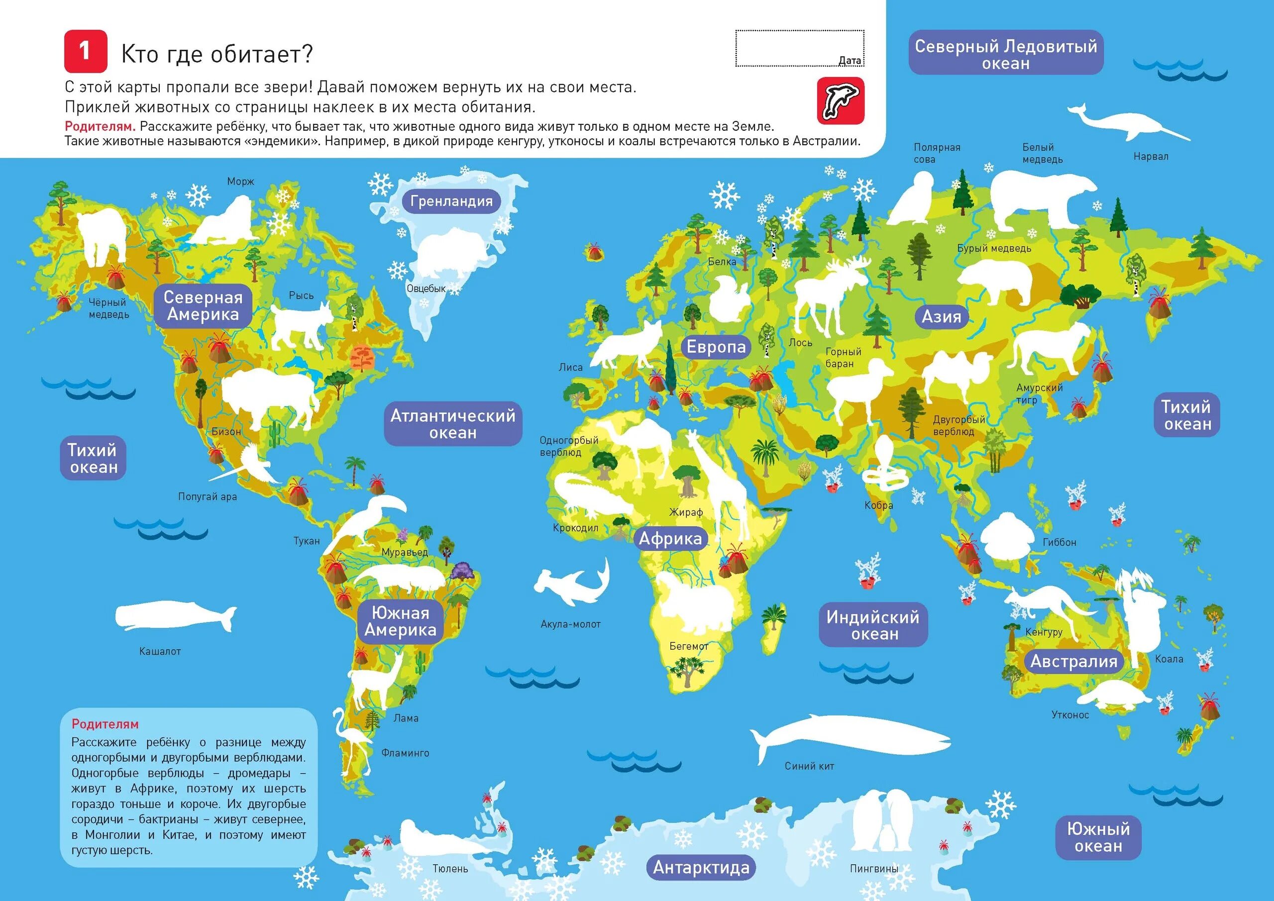 Карта где папа. Где водятся пингвины на карте. Где живут пингвины на карте. Места обитания пингвинов на карте. Пингвины живут карта.