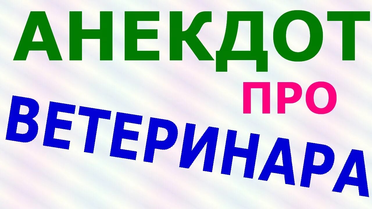 Анекдоты ветеринара. Анекдоты про ветеринаров. Ветеринар прикол. Анекдот про врача и ветеринара. Анекдоты про ветеринарных врачей.