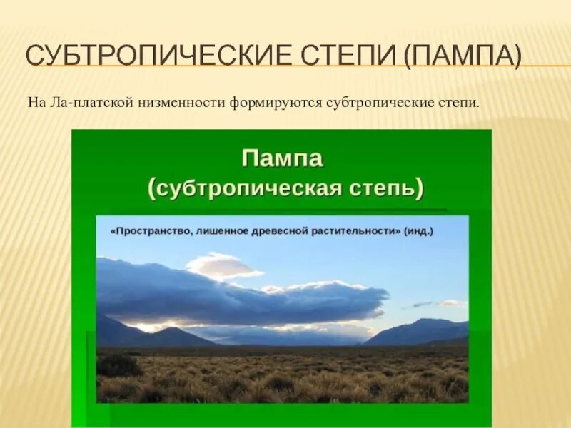 Разнообразие природы южной америки 7 класс. Субтропические степи (пампа). Субтропические степи Южной Америки. Субтропические степи климат. Субтропические степи Южной Америки климат.