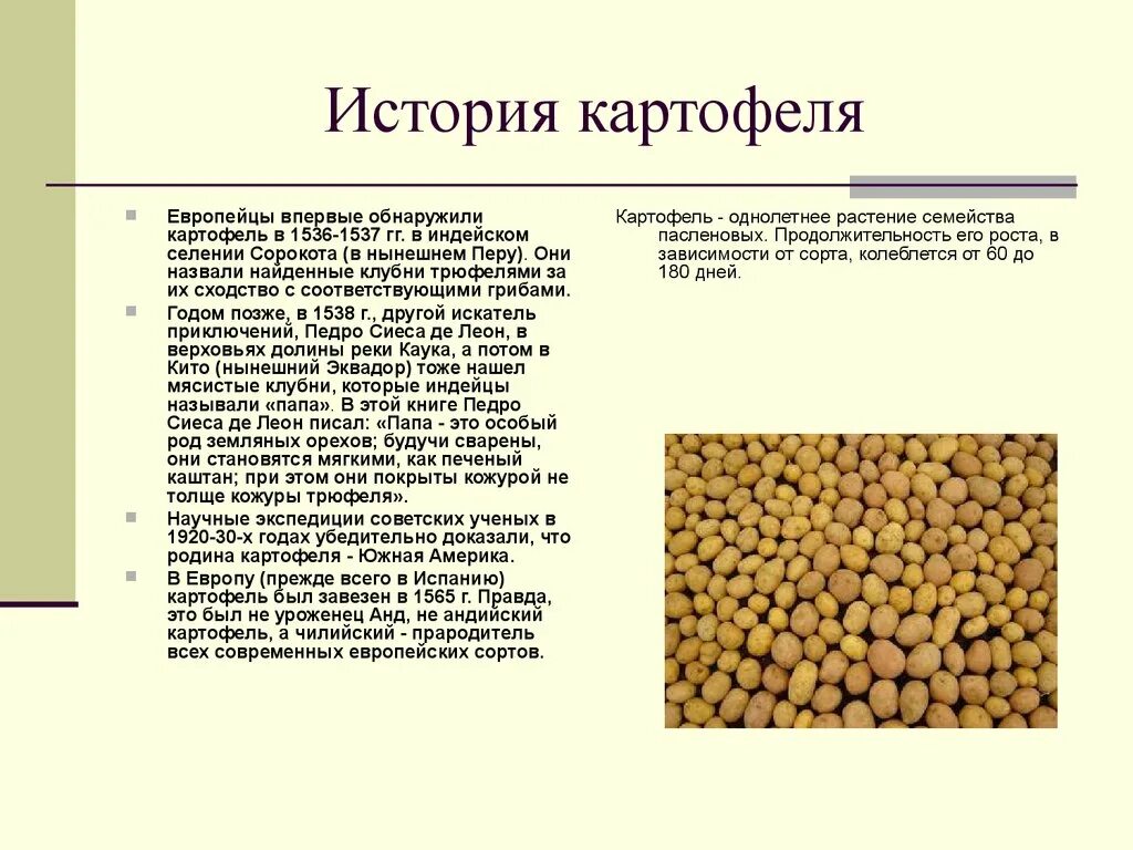 Где появилась картошка