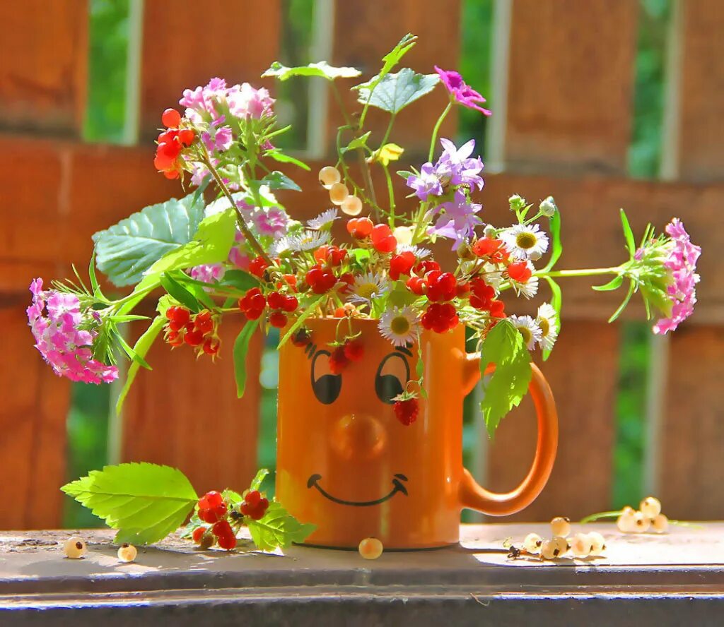 Добрый день картинки позитивные. Летнее настроение. Цветы красивые летнее настроение. Доброе утро лето. Цветочное настроение.