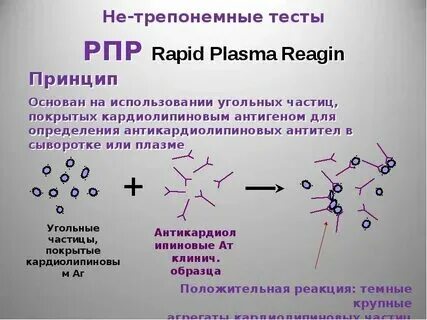 Антитела rpr