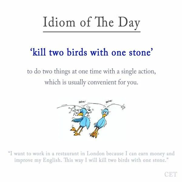 На английском kills. Kill two Birds with one Stone идиома. Предложение с идиомой Kill two Birds with one Stone. Two Birds with one Stone. Kill two Birds with one Stone идиома примеры.