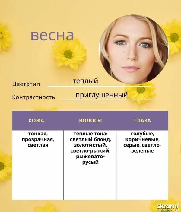 Что такое цветотип внешности. Цветотип внешности. определить цветотип внешности. типы кожи цветотип. типы кожи лица по цветотипу.