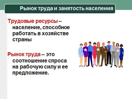 Какое место на рынке труда занимает занятость