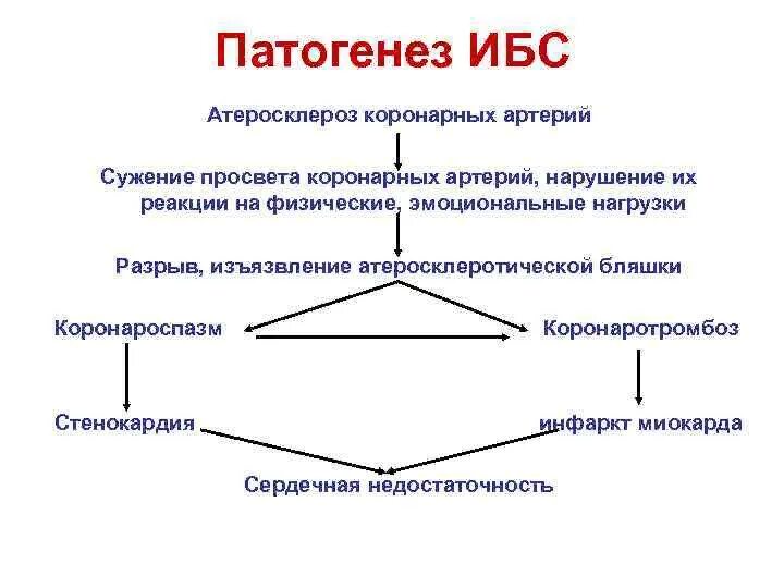 ИБС механизм развития. Ишемическая болезнь сердца этиология и патогенез. Механизм развития ишемии миокарда при стабильной ИБС. Ишемическая болезнь сердца. Патогенез заболевания.. Механизмы развития ишемии