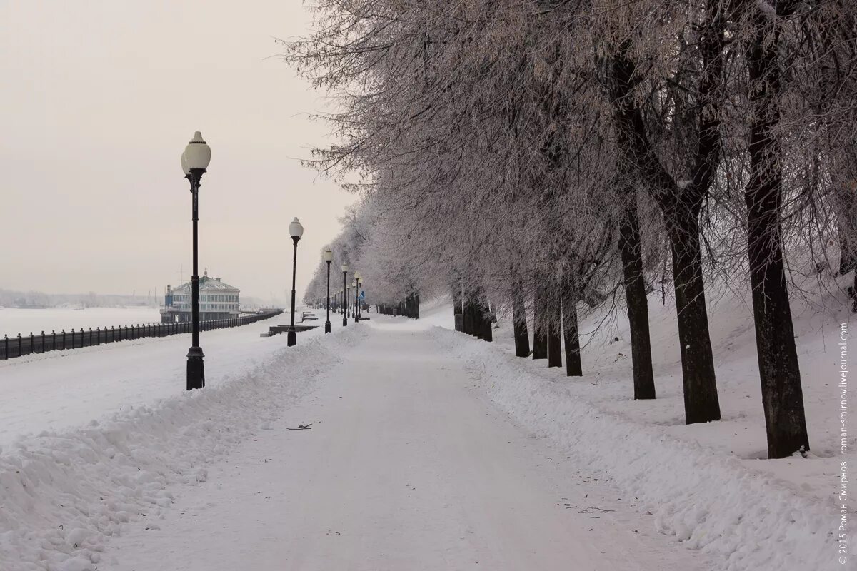 ярославль зимой ночью карла маркса. ярославль зимой отзывы. ярославль кострома зимой. ярославль зима фото. ярославль зимой отзывы.