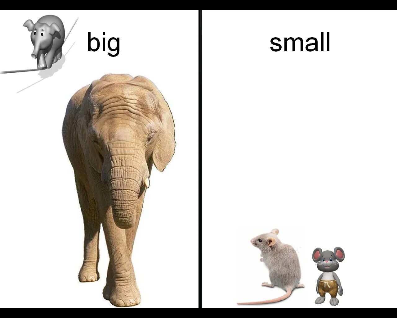 Карточки big small. Big small для детей. Big little картинки для детей. Животные big and small карточки.